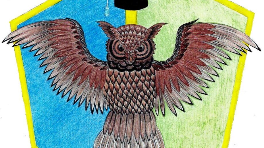 Символика организации